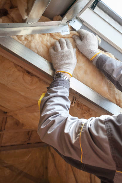Best Insulation for New Construction  in Millington, NJ
