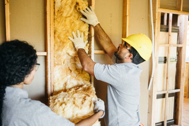 Best Insulation Removal  in Millington, NJ
